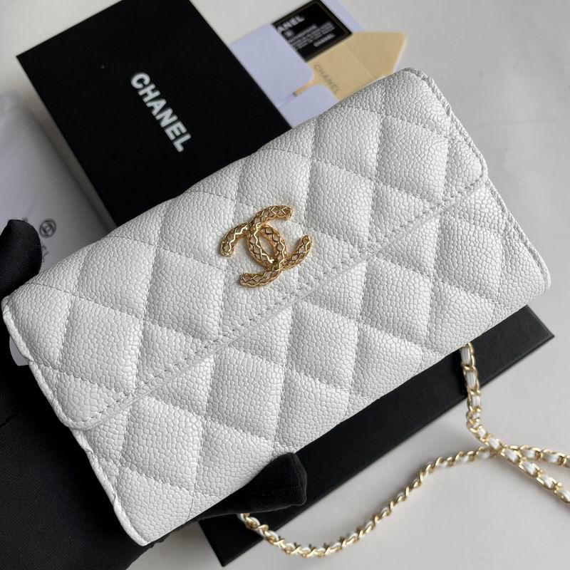 Chanel 8001 18x10.5x3.5cm zy  (13)